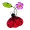 Crystal Expressions 3.0 Inch Wishing Ladybug Everyday Tree Ornament , Good Luck Ladybug